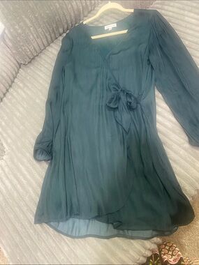 Everlane Teal Long-Sleeve Wrap Dress
